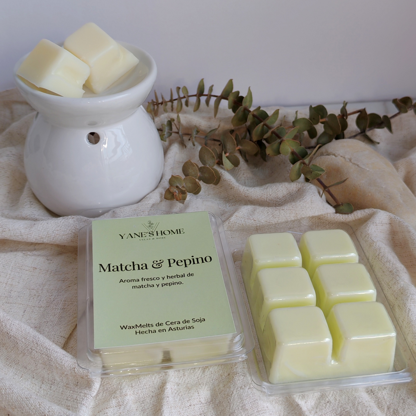 Waxmelt Matcha & Pepino – Colección Sol de Verano