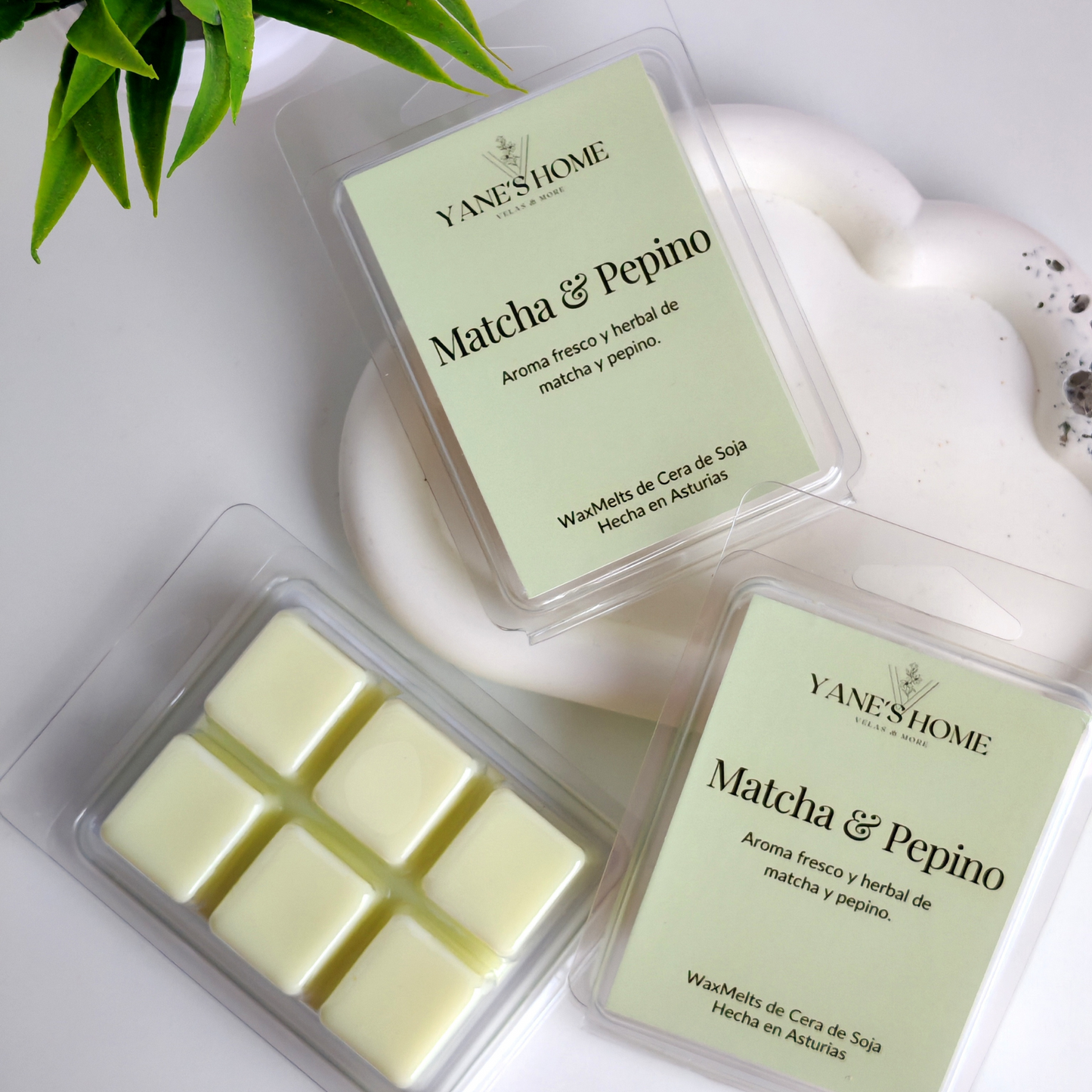 Waxmelt Matcha & Pepino – Colección Sol de Verano