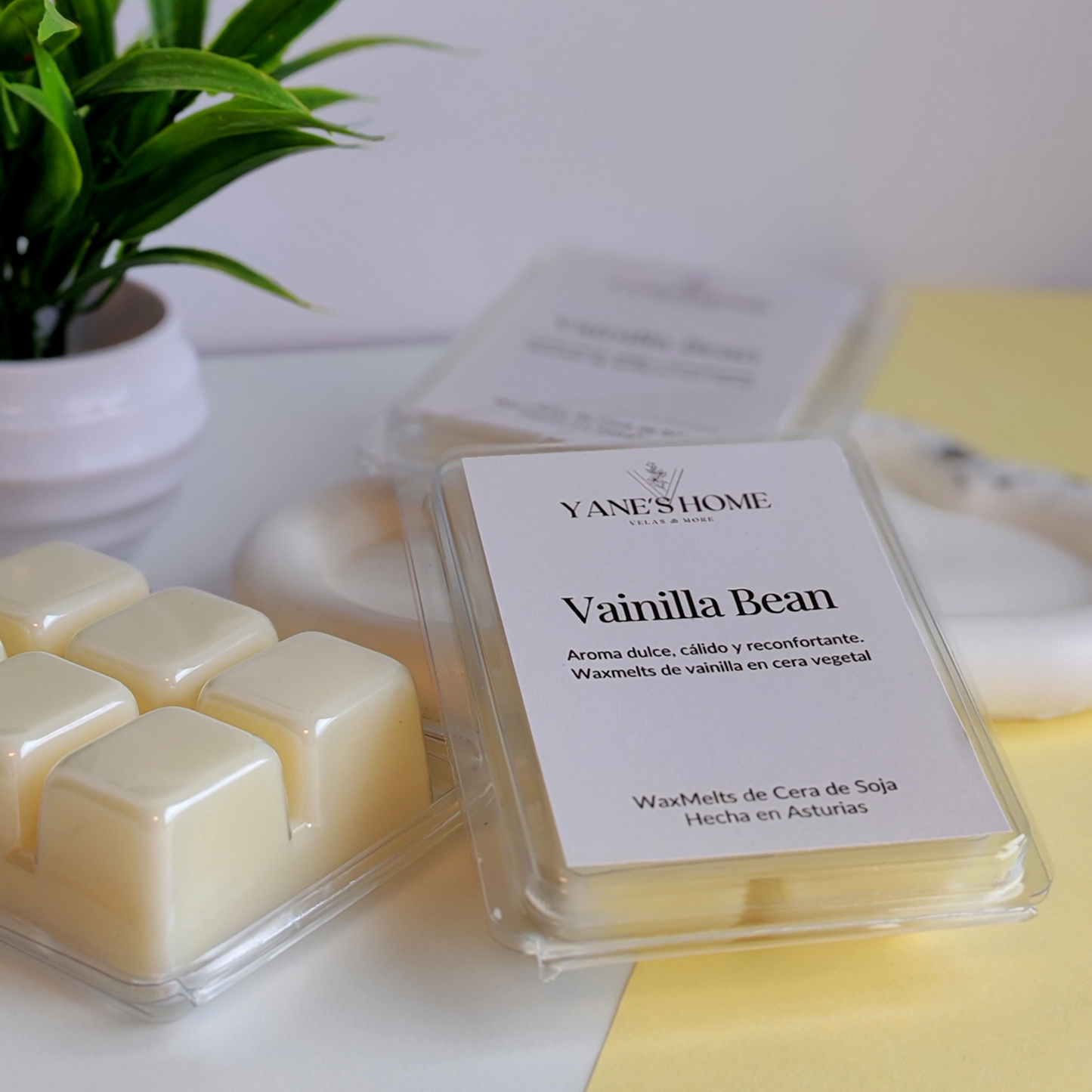 Waxmelt Vainilla Bean – Colección Sol de Verano