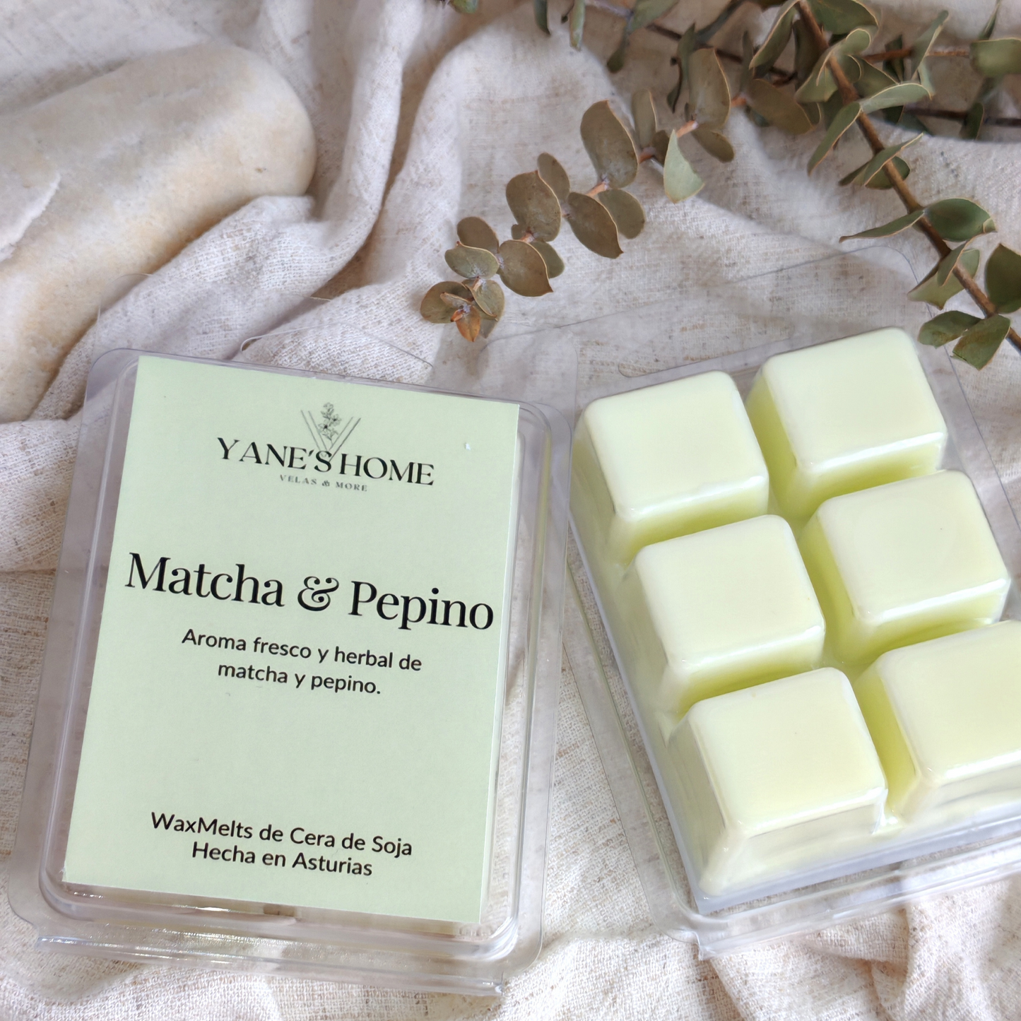 Waxmelt Matcha & Pepino – Colección Sol de Verano