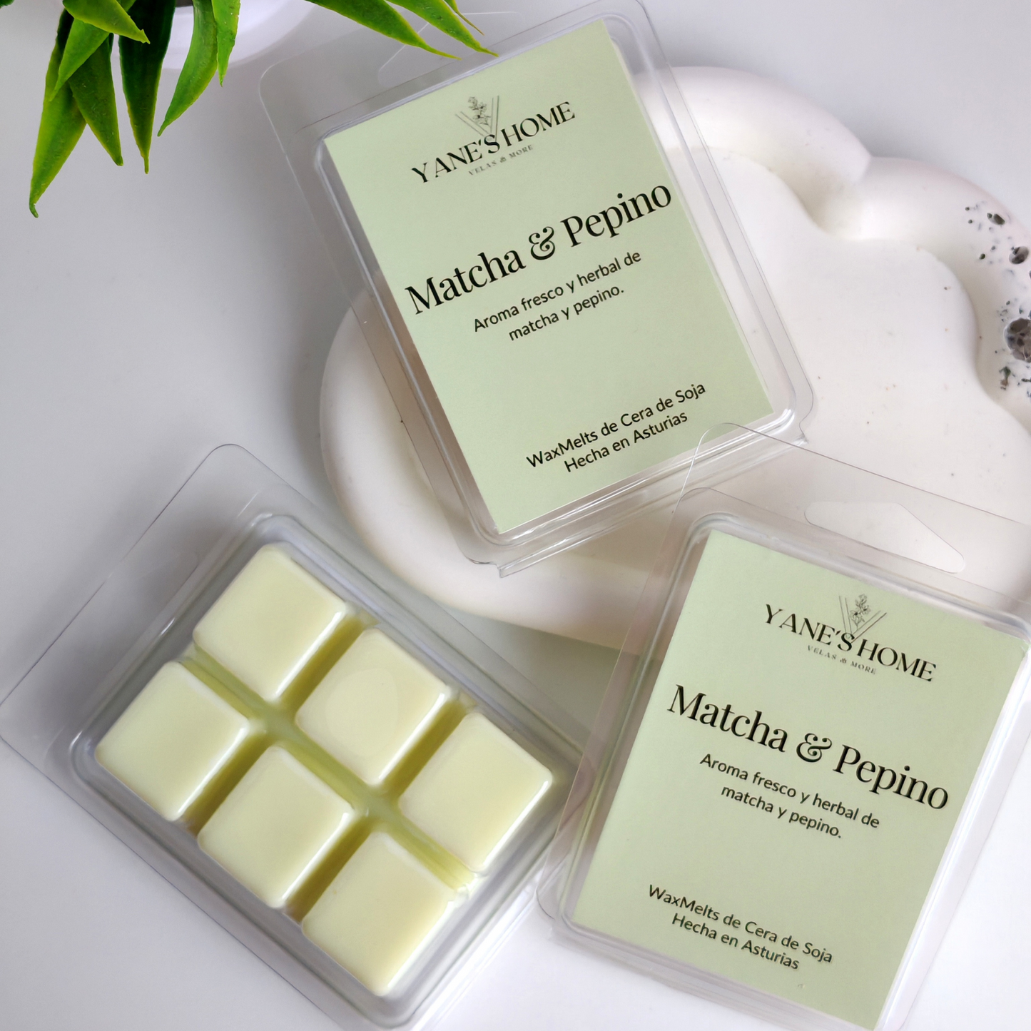 Waxmelt Matcha & Pepino – Colección Sol de Verano